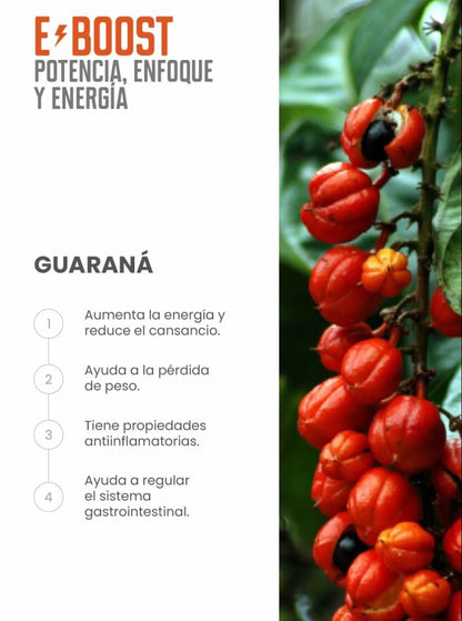 E-BOOST | Potencia, Enfoque y Energía Natural