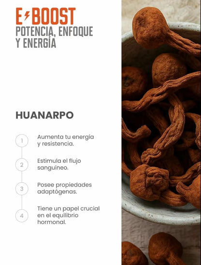 E-BOOST | Potencia, Enfoque y Energía Natural